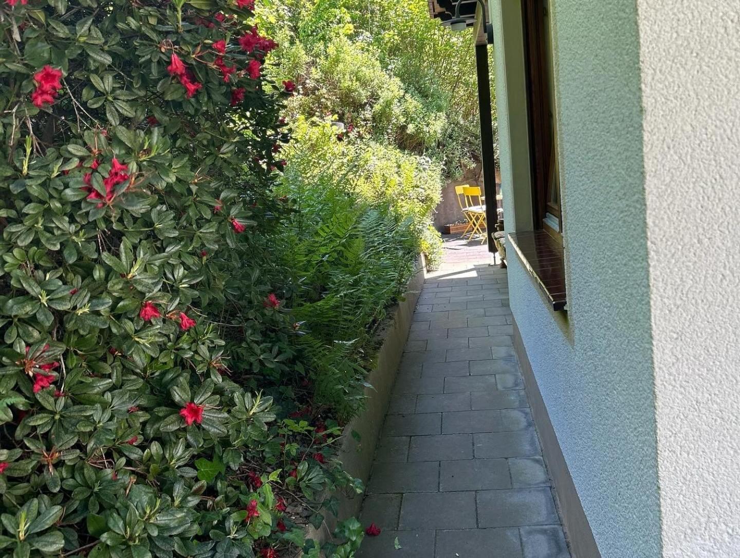 Ferienwohnung Sonneck Altenahr Extérieur photo